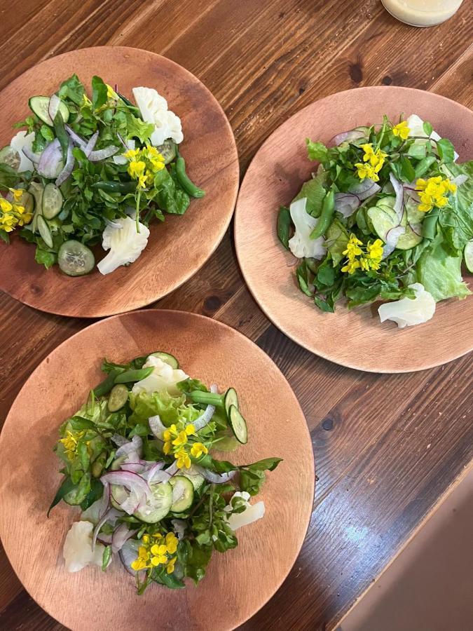 Vegetarian House Jamoo Hotel Yamanakako Bagian luar foto