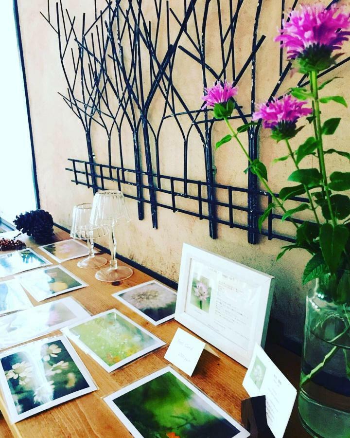 Vegetarian House Jamoo Hotel Yamanakako Bagian luar foto